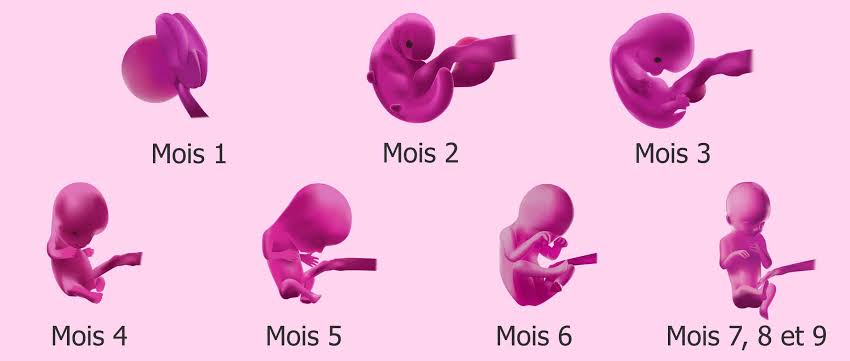 Grossesse+